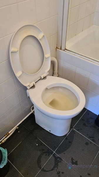  verstopping toilet Zevenhuizen